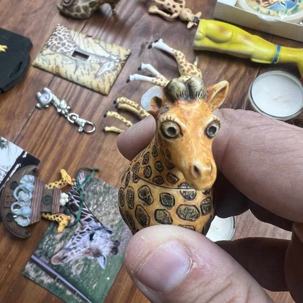 Giraffe Home‎ Decor Lot Zoo Safari Africa Trinkets Socks Ornaments